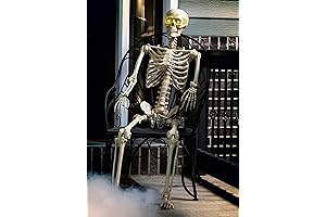 5 ft Poseable Skeleton Halloween Decoration with Life Size Full Body