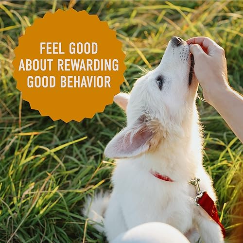 Miniatura 6 de Cloud Star Tricky Trainers - Golosinas suaves y masticables para entrenamiento de perros, bolsa de 14 onzas, sabor cheddar, ayuda de comportamiento