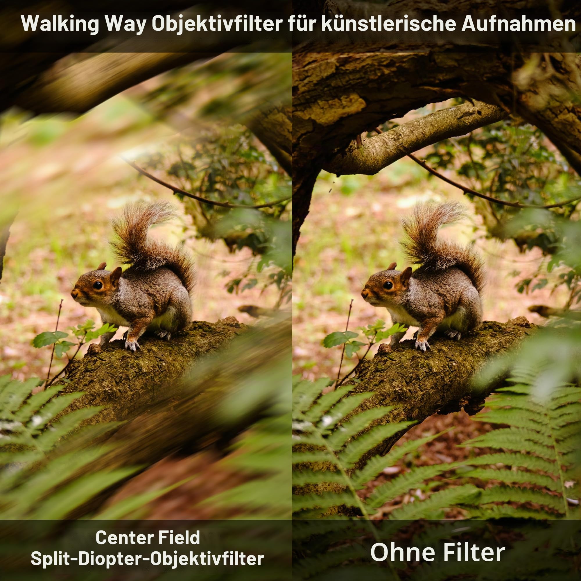 Walking Way Split-Diopter 77mm für doppelten Halbmond-Unschärfe-Effekt | K9 Optikglas Aluminiumrahmen doppelter Halbmond Split-Fokus klare Mitte mit künstlerischer Unschärfe