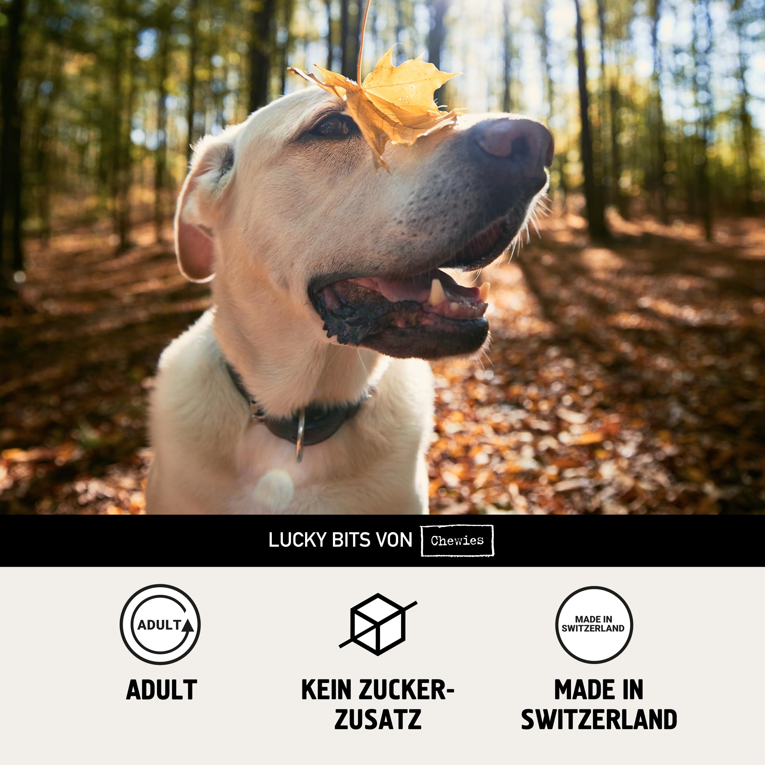 Chewies Kennenlern-Paket Large - Olivenholz & Kaffeeholz für Hunde, Kaukäse, Hunde Leckerlis mit Maxi Fleischstreifen, Lucky Bits, Hundezigarre & Trainings-Happen Pferd (für größere Hunderassen)