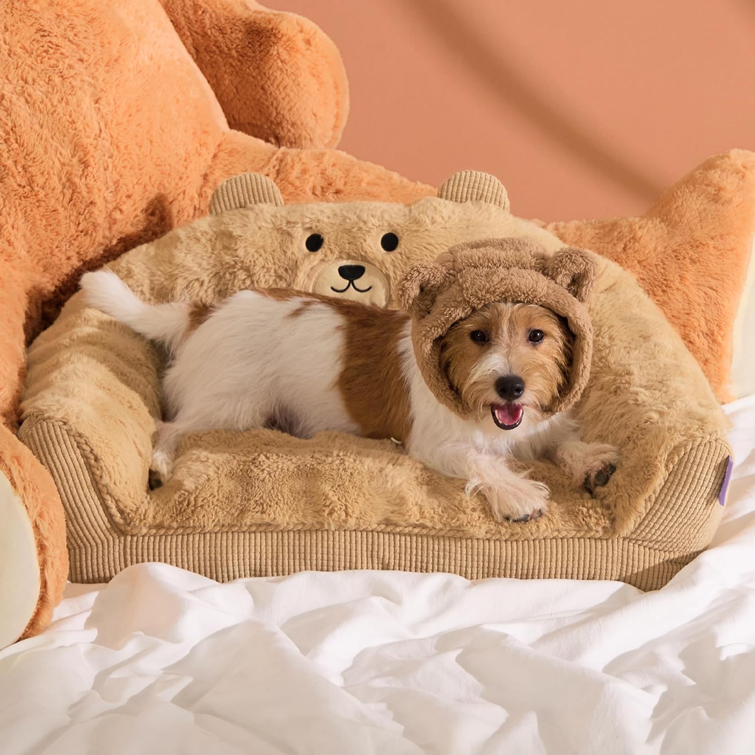 LE SURE Cute Cat Couch for Pets – Fluffy Original Bear Design for Small Dog Bed, Supportive Dog Couch with Removable Washable Cover, Puppy Bed for Small and Medium Dogs, 28inch, Almond