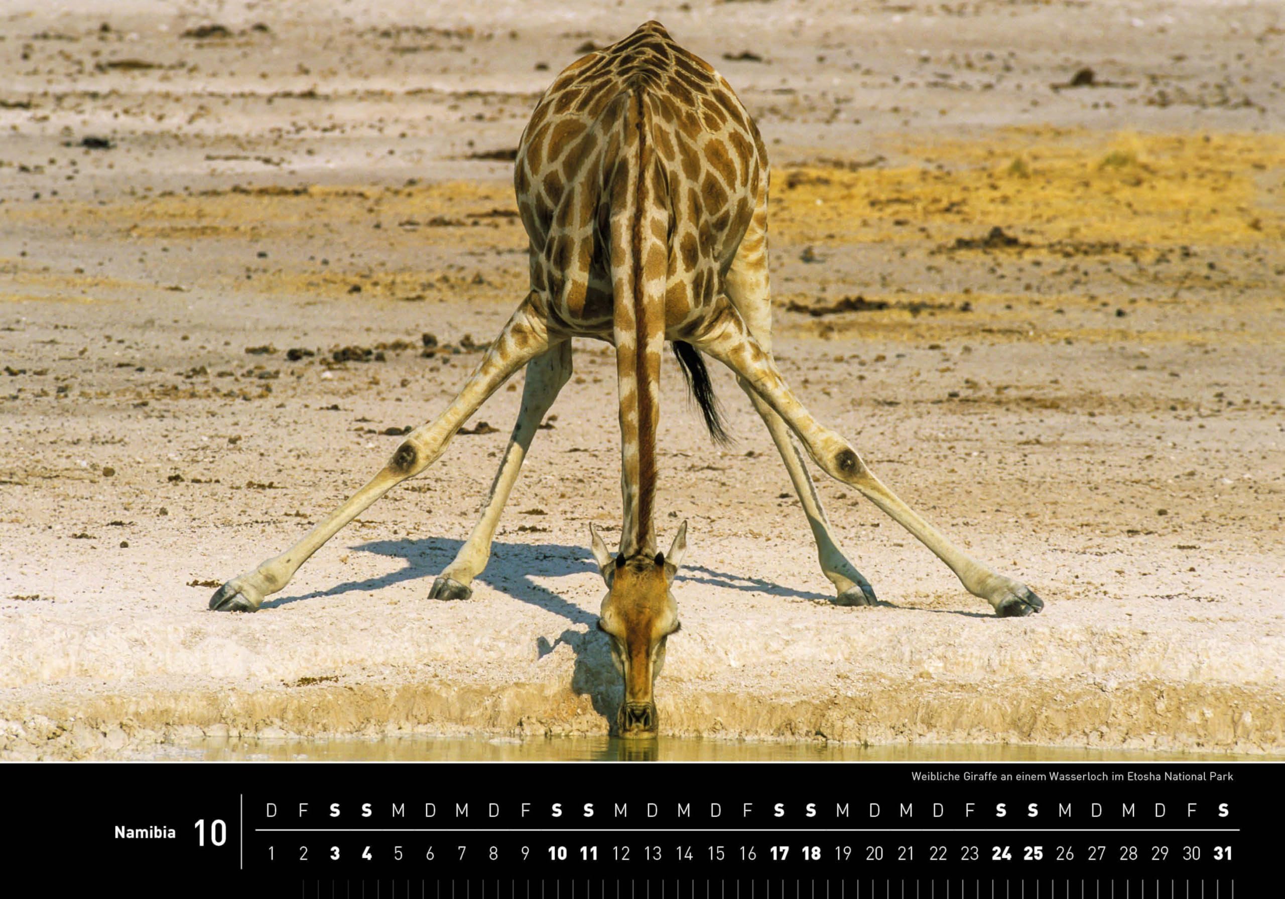 Namibia Premiumkalender 2026 (360° Premiumkalender 2026: Format 50 x 35 cm)