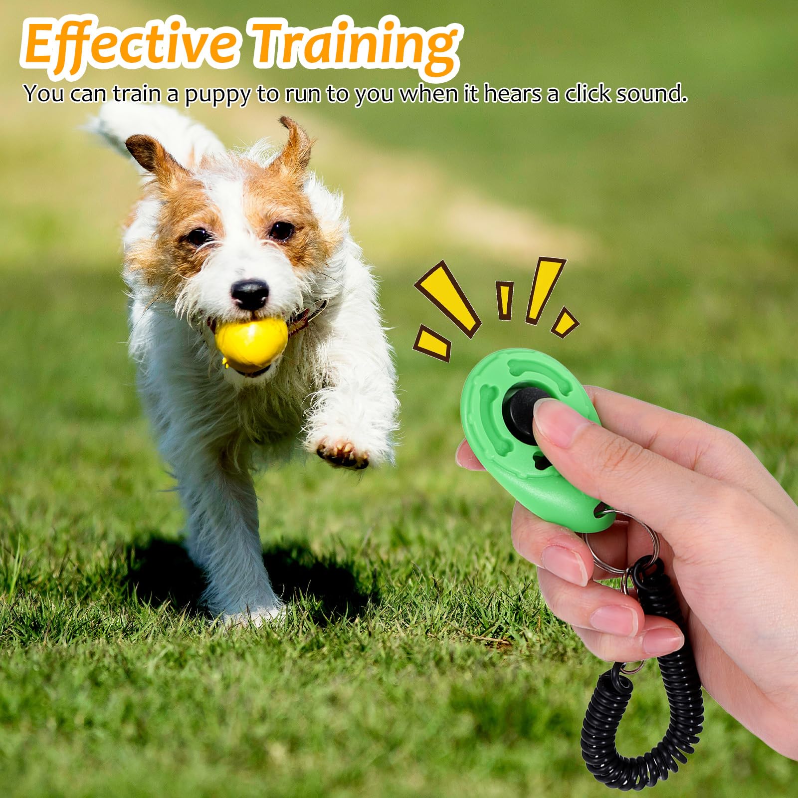Lot de 30 cliquets de dressage pour chien avec dragonne, clicker d'entraînement comportemental pour animaux de compagnie pour l'obéissance et le renforcement positif, fournitures