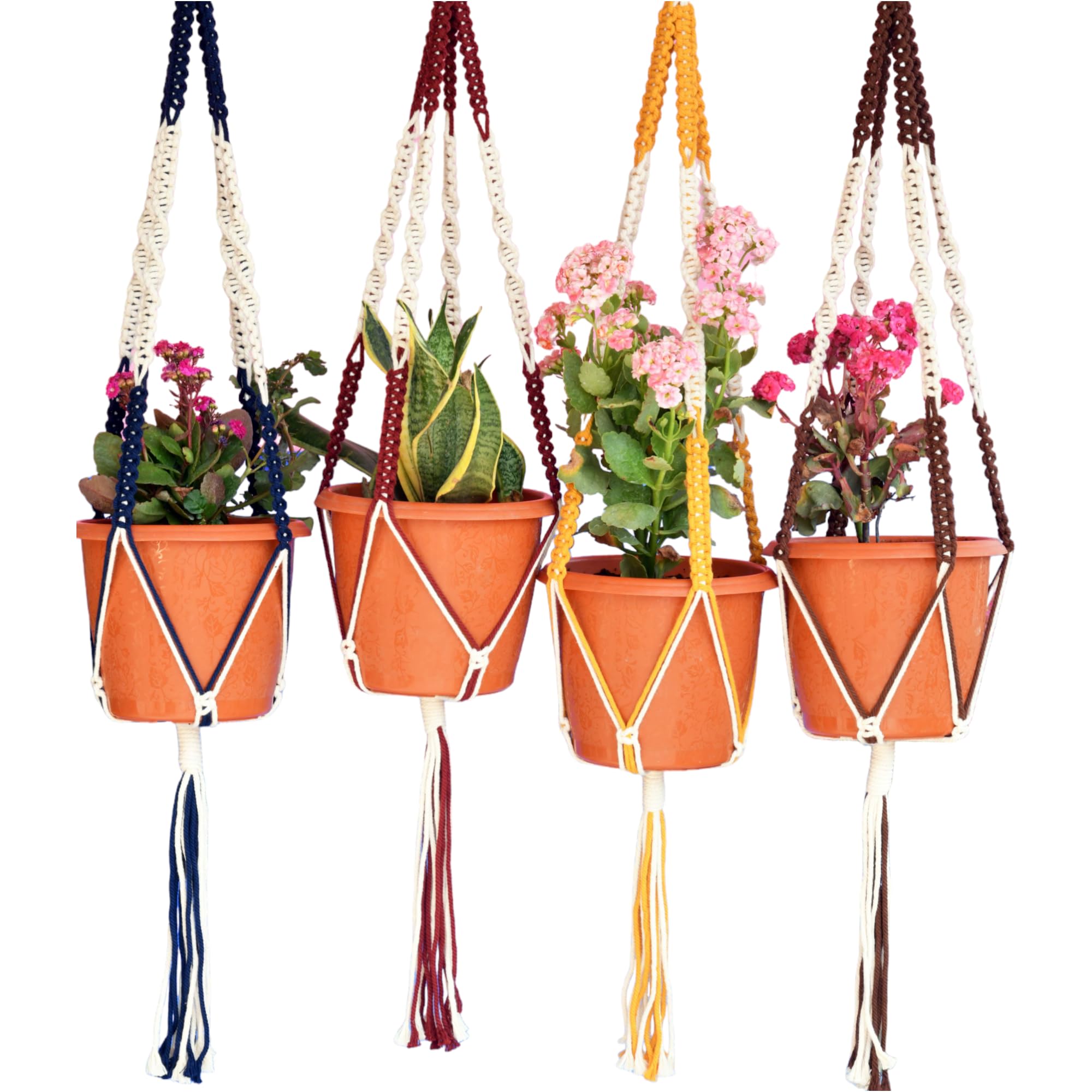Knot-it-All Home Décor/Indoor Home Décor/Assorted Plant Hangers/Wall Hanging/Boho Macrame Planter Hanger/Pot Holder- Set of 4 (HDH-116) (B08HS5CK4Z) Amazon Price History, Amazon Price Tracker