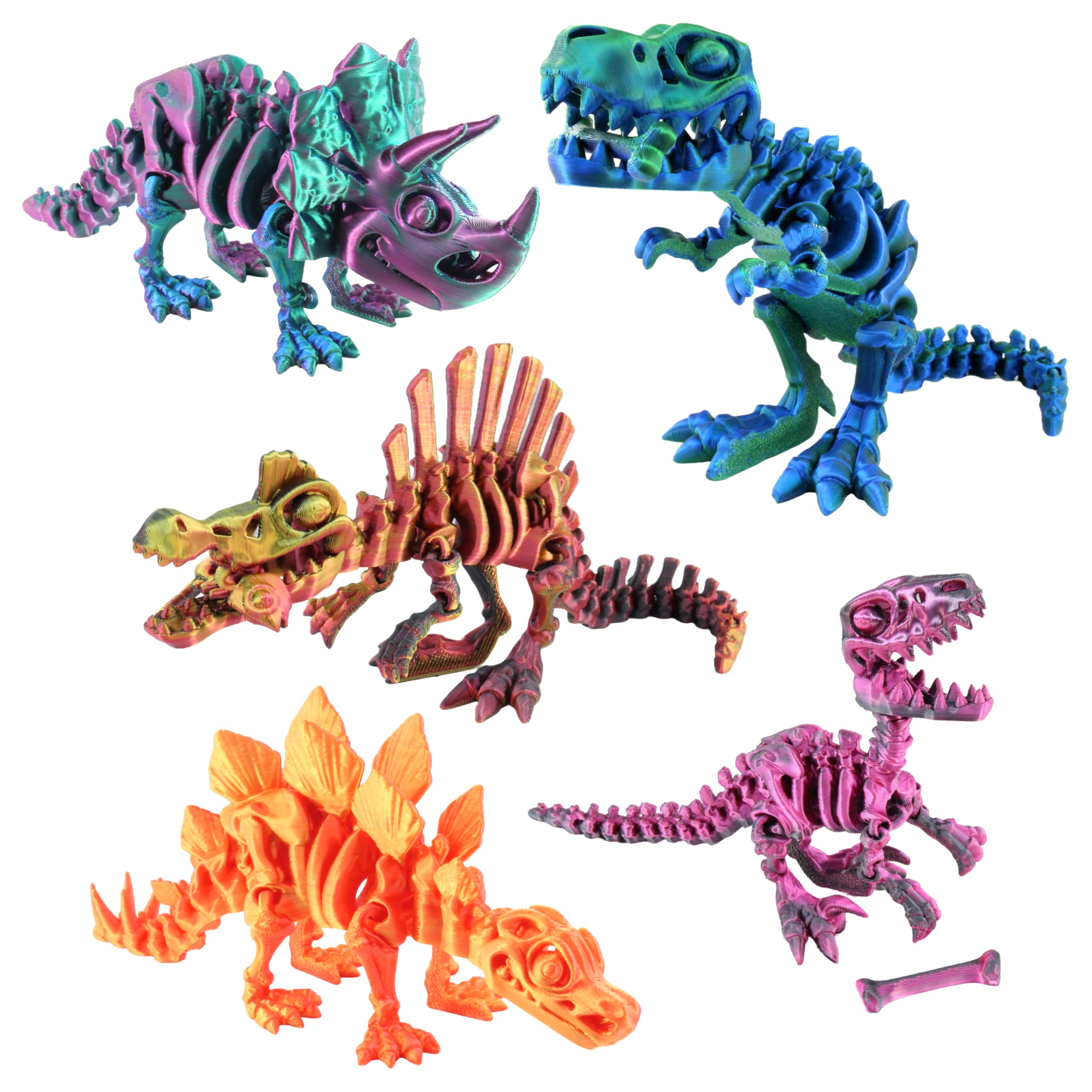 Amazon.com: PowerTRC 5PCS 3D Printed Dinosaur Skeletons, T-Rex
