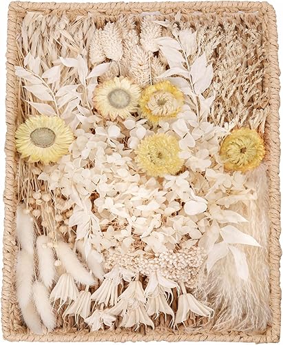 Juego de flores secas naturales, flores secas a granel con tallos, margaritas secas, hierba de cola de conejo seca, mini ramo (blanco)