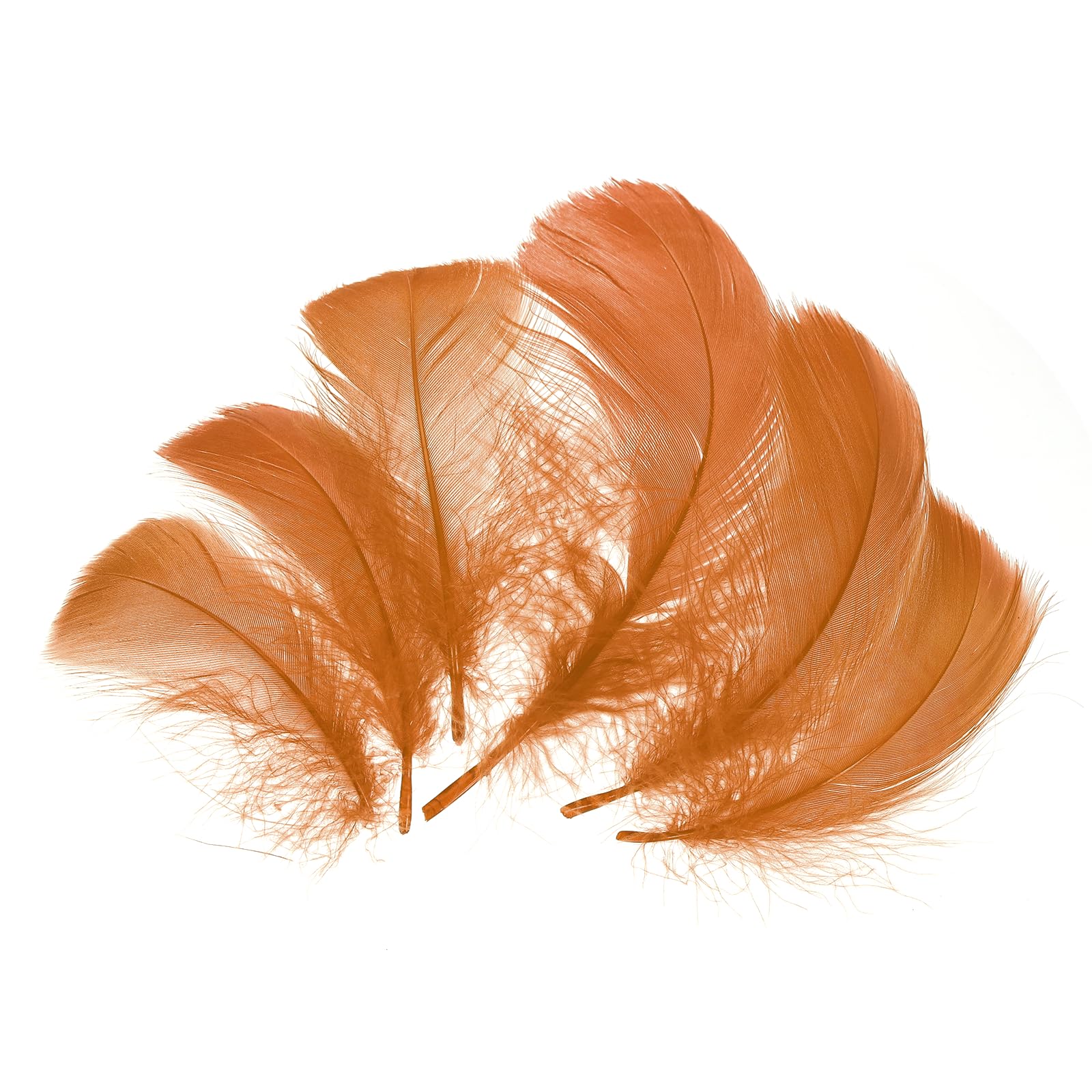 sourcing map 100Pcs Maroon Craft Feathers, 3-6 Inch Colored Feathers for Crafting, Fluffy Feather Bulk for DIY Crafts, Dream Catcher Supplies, Wedding Party Decoration
