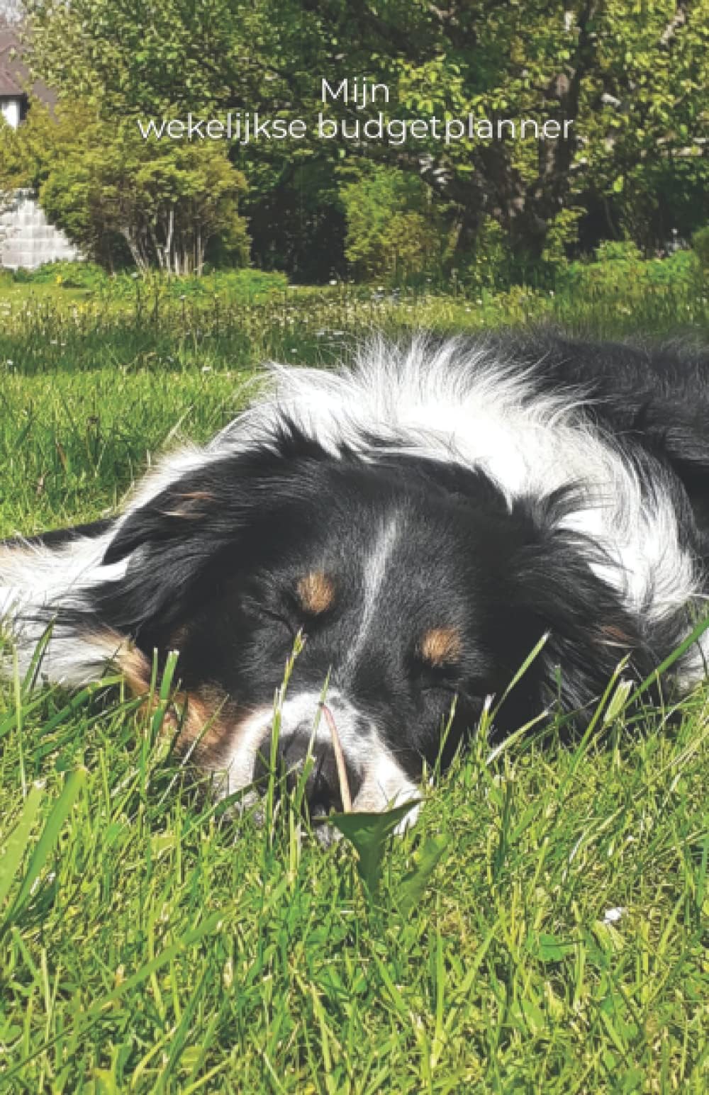 Mijn wekelijkse budgetplanner (Dutch Edition)
