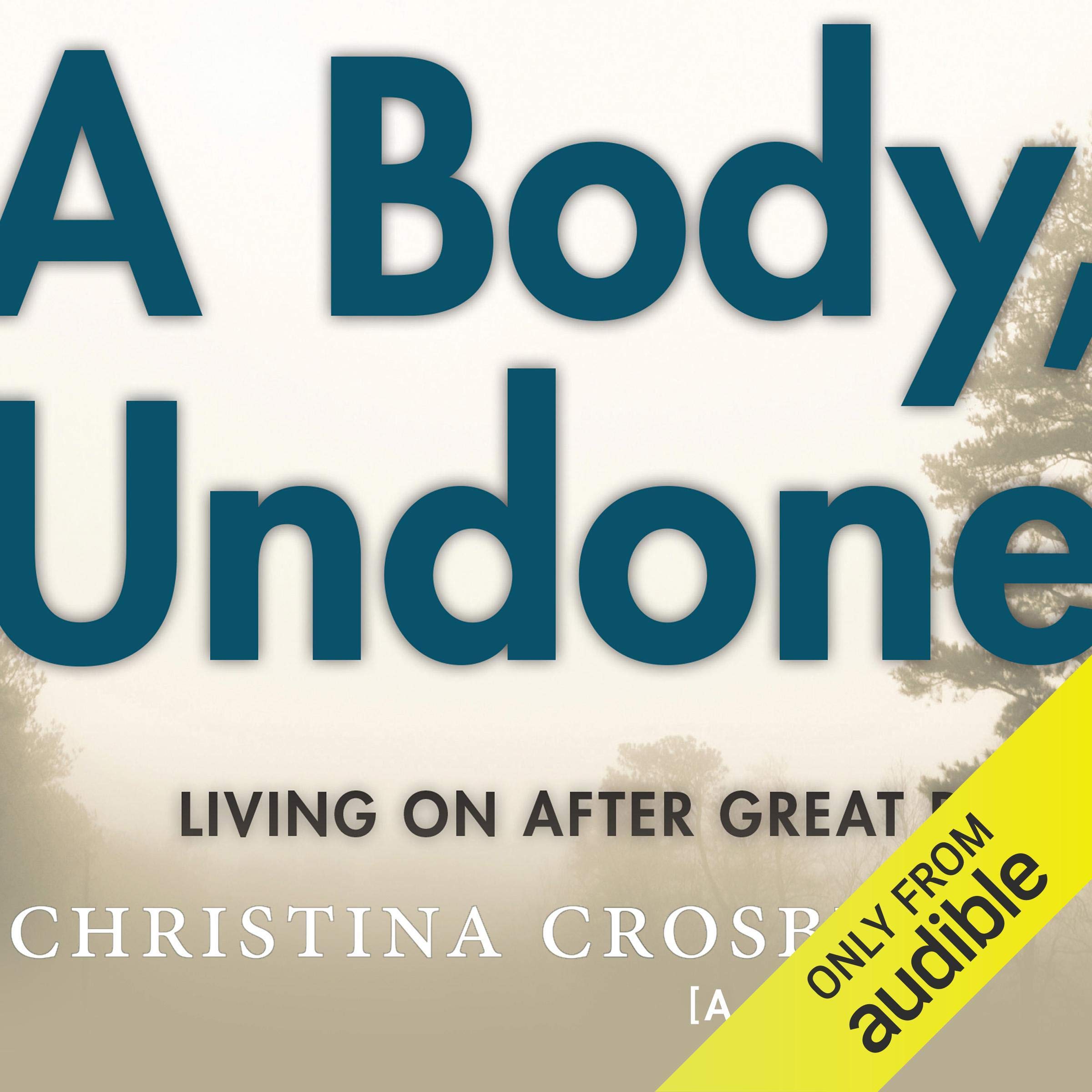 A Body, Undone: Living On after Great Pain