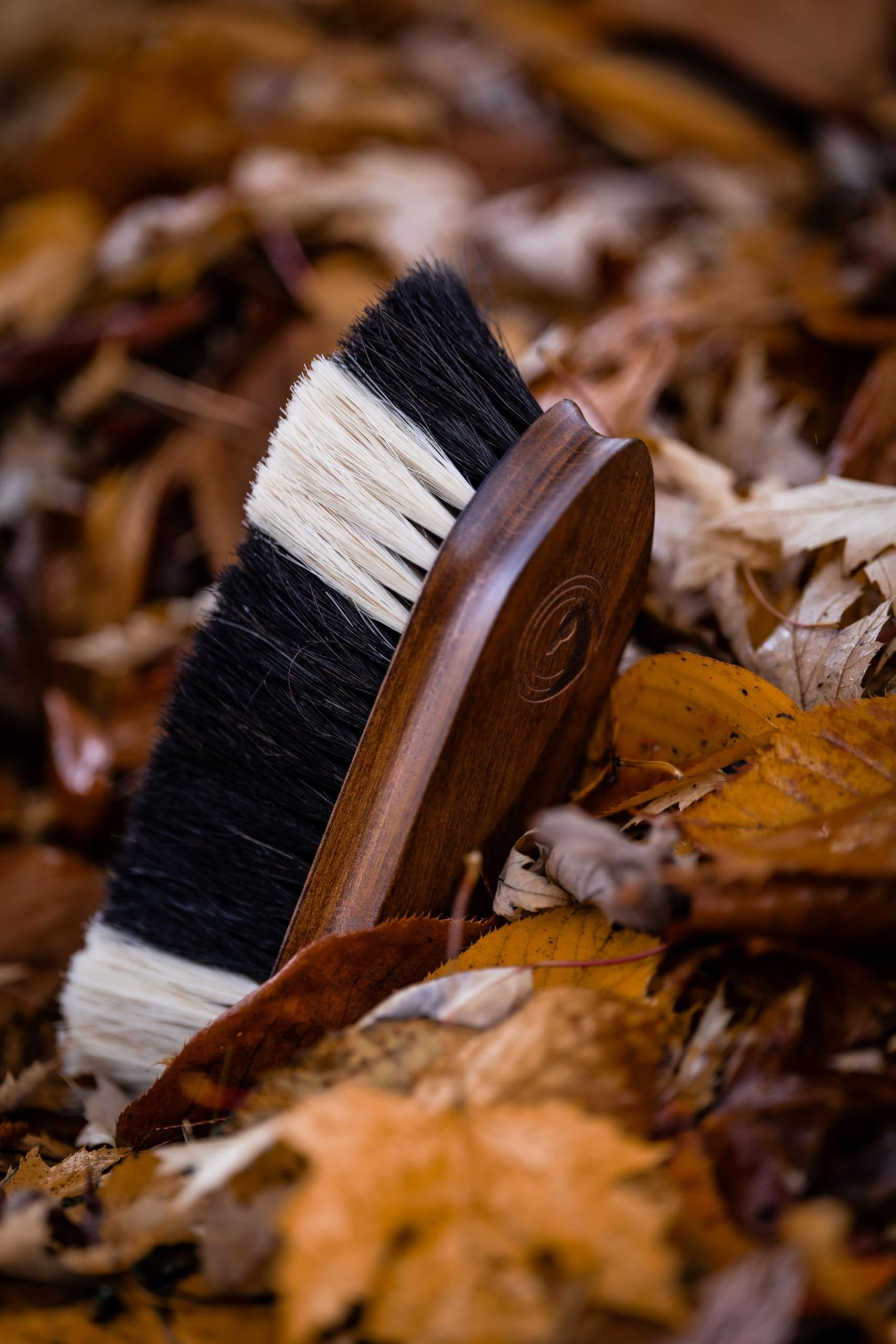 Brosse cheval en crin naturel – Brosse de pansage avec poils denses et poignée ergonomique en bois, pour poussière, saleté et pelage