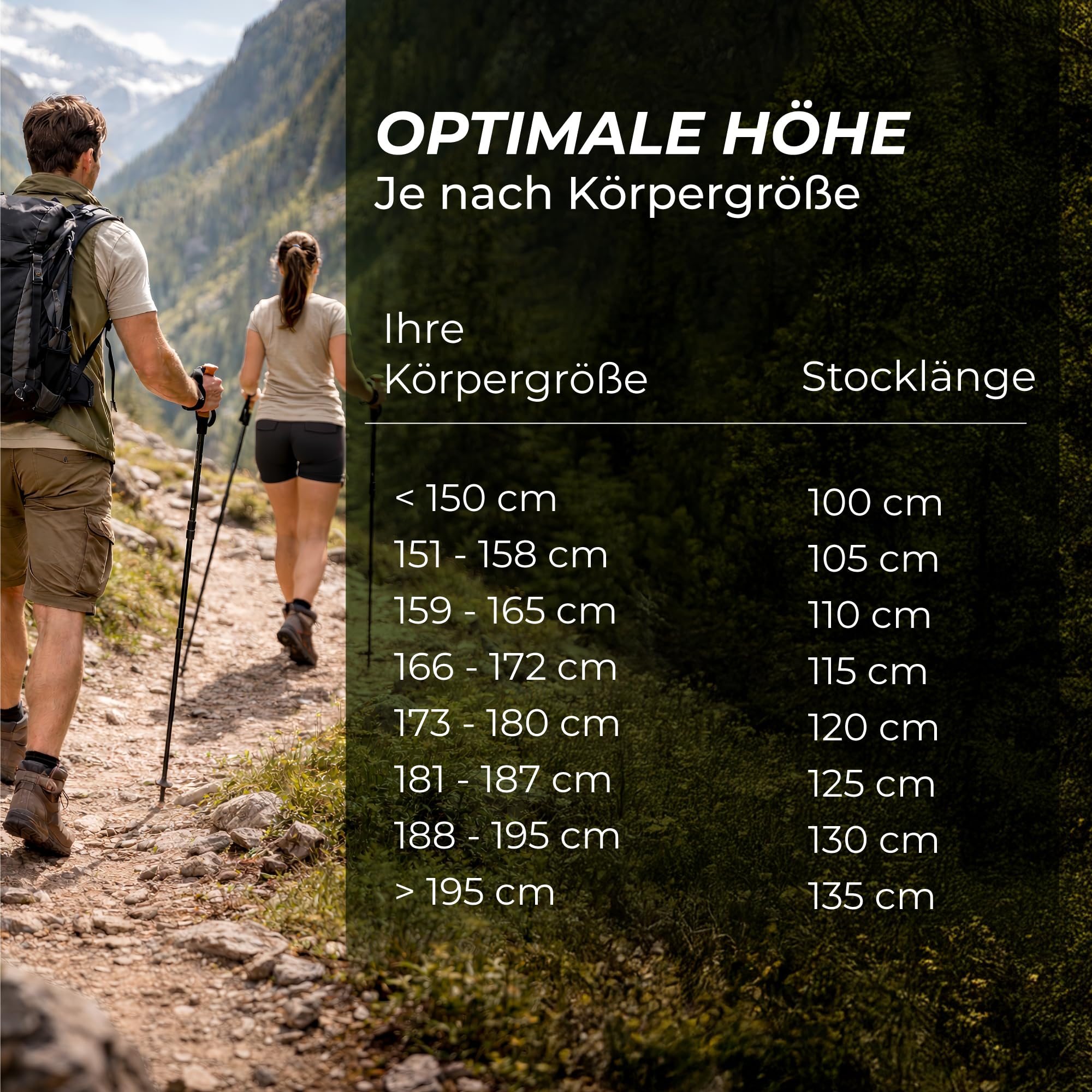 Wanderstöcke Teleskop [Carbon oder Aluminium] - Nordic Walking Stöcke Damen/Herren Ultraleichte - Trekkingstöcke Einstellbar mit Natürlich Kork Griff