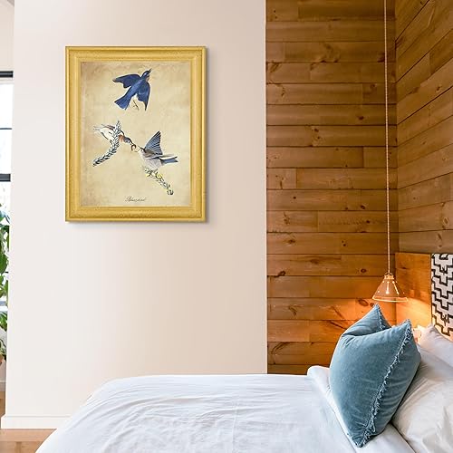 Vista 85 de Towee Bunting by James Audubon - Marco biselado negro de 12 x 16 pulgadas, decoración artística enmarcada para pared, reproducción de pinturas