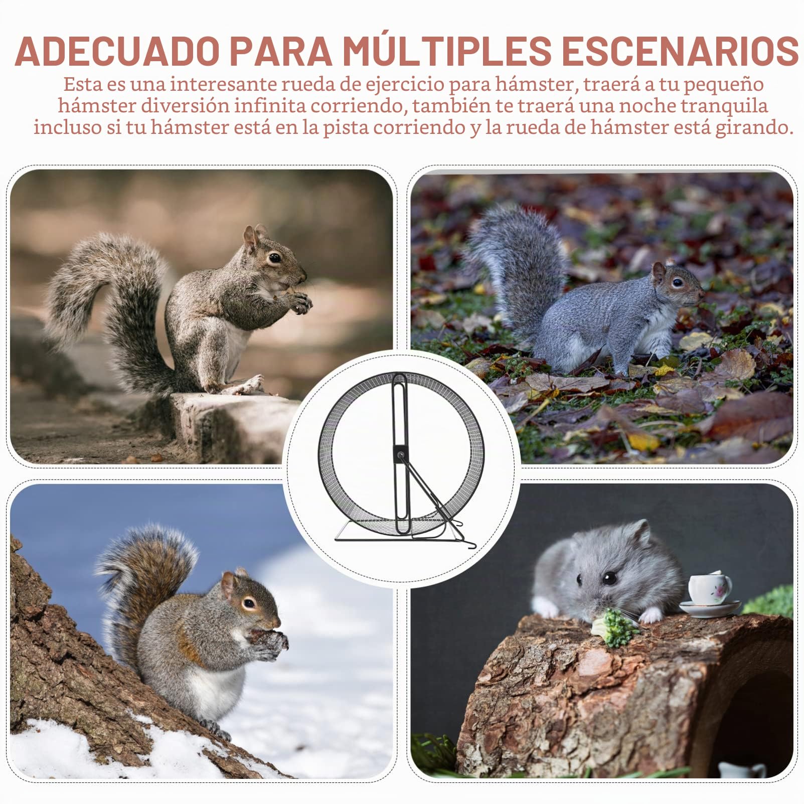 Hemobllo Juguetes Hamsters Gran Chinchilla Metal Hamster Running Wheel Hedgehog Estante U?as Animales ?os () Chinchilla Accesorios Pequeño
