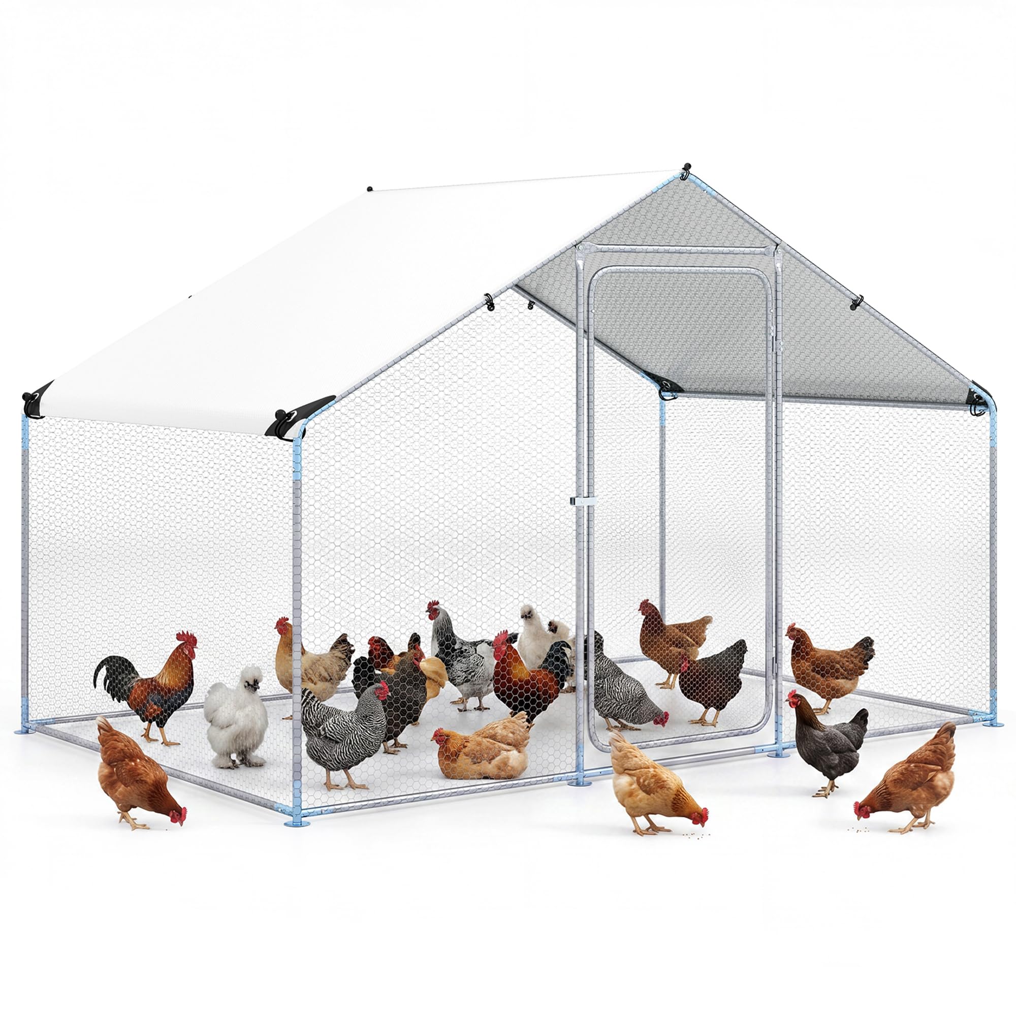 GYMAX Pollaio per Galline da Esterno, Recinto in Acciaio