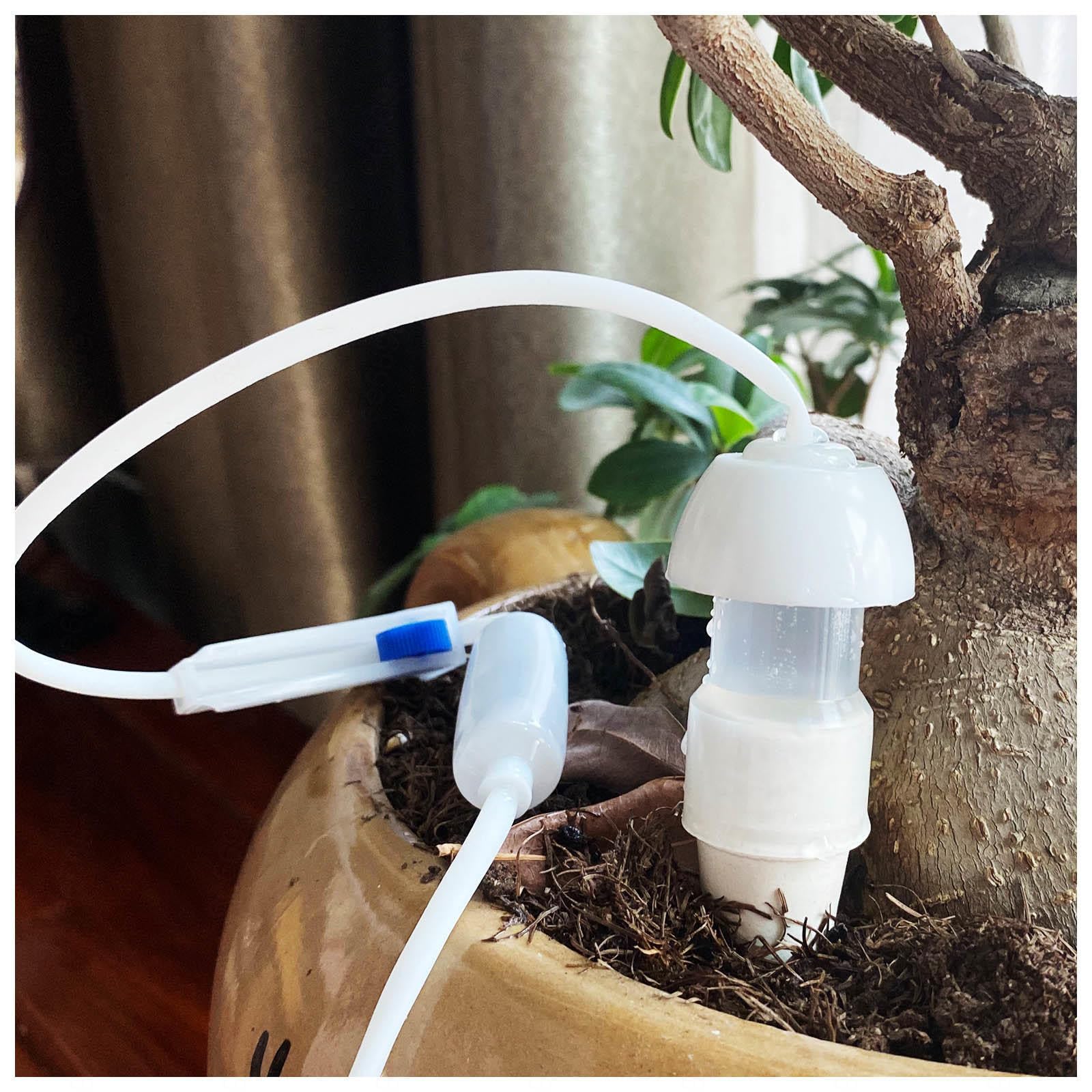 Annaffiatoio Automatico Irrigatore Automatico Regolabile, Acqua Piante Vacanze per Irrigazione per Piante da Interni ed Esterni,10Pack