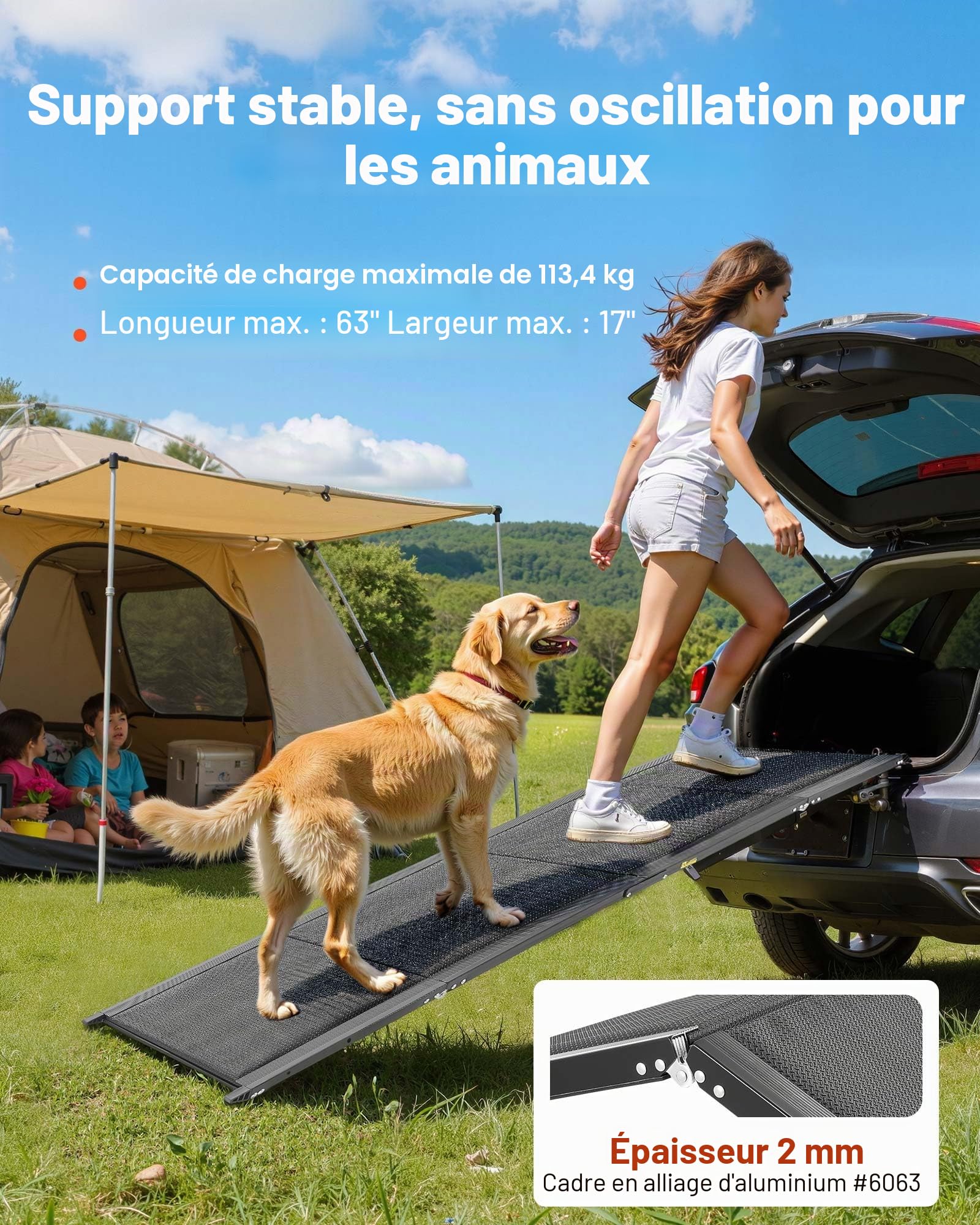 VEVOR Rampe pour Chien Pliable 160 x 43,2 cm 113 kg Surface Antidérapante Tissu Oxford pour Animaux de Compagnie