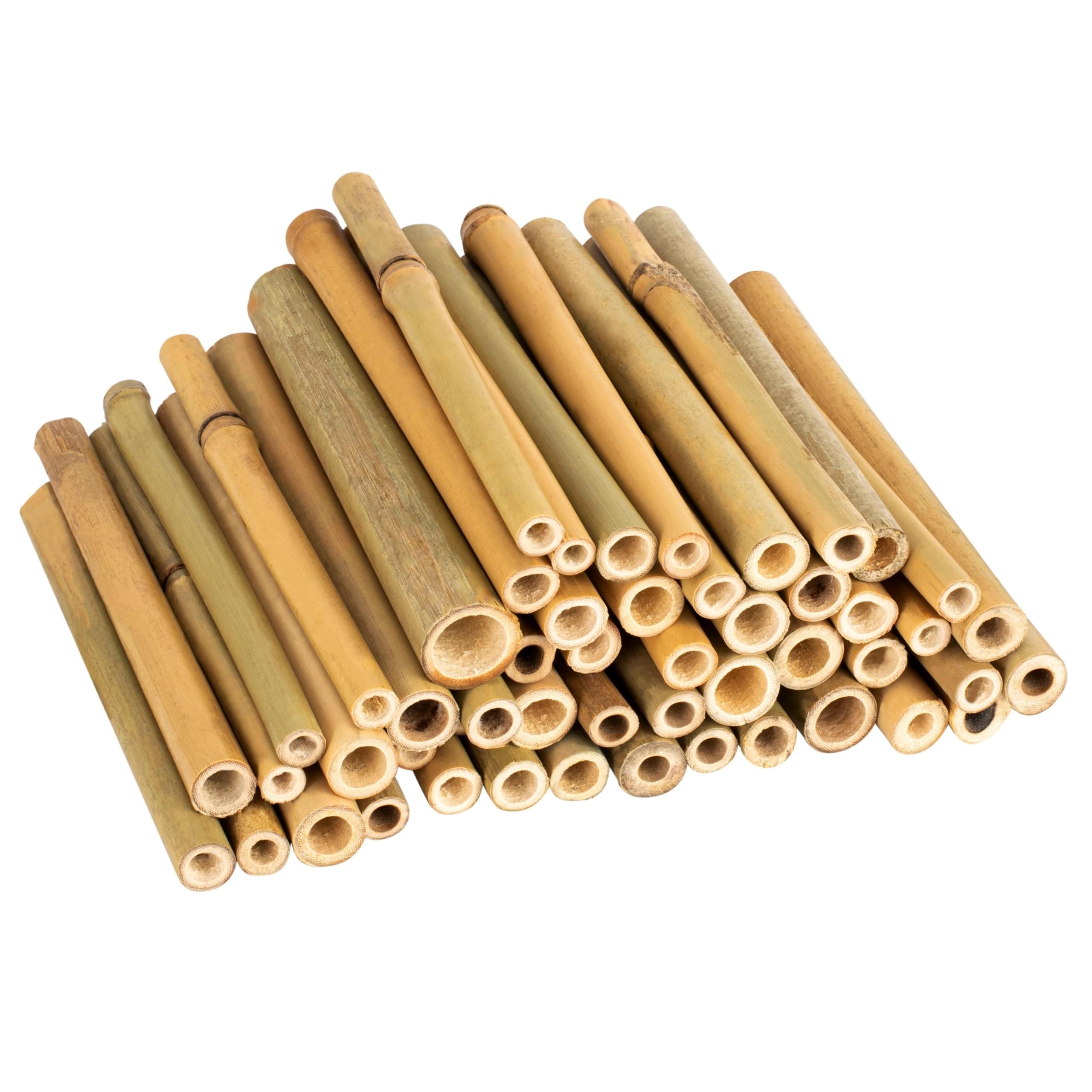 GARDIGO® Tubos de bambú para Hotel de Insectos, 150 Unidades, Tubos de anidación de bambú para Abejas Silvestres, Accesorios para casa de Insectos, Hotel de Abejas, casa de Abejas Silvestres, caña de