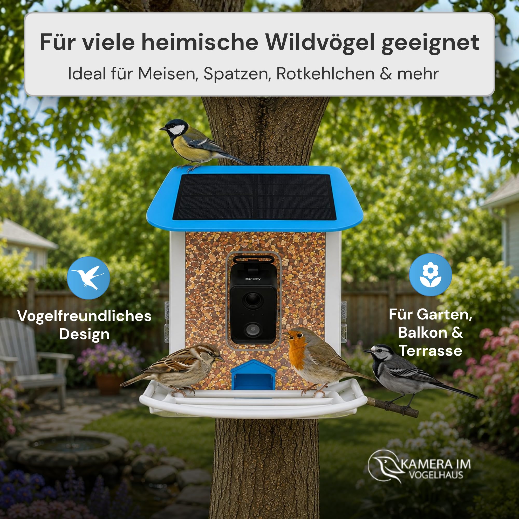 Smarter Vogelfutterspender mit WLAN-Kamera und Solar | Vogelhaus mit Kamera, Vogelfutterstation, Futterstationen für Wildvögel