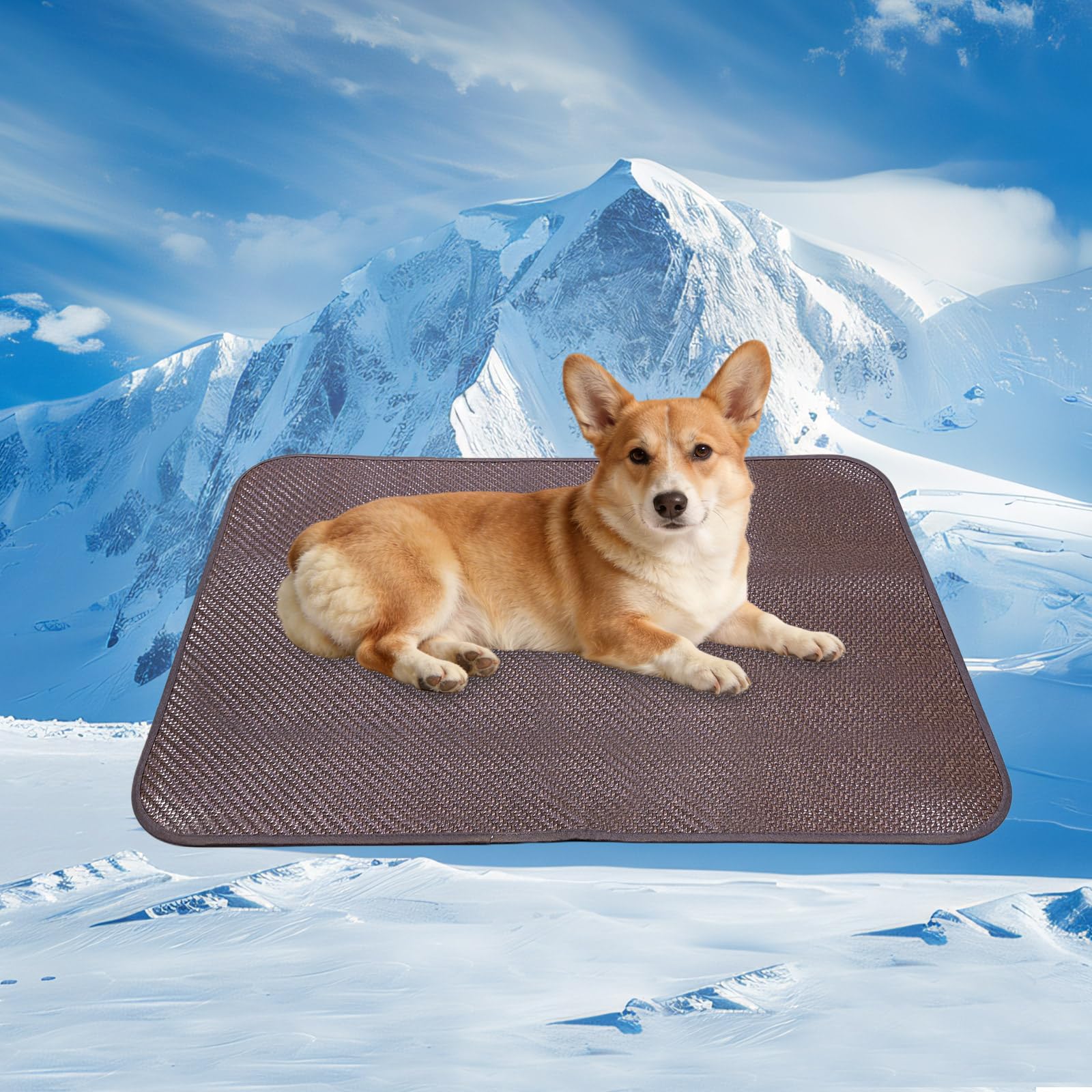 Tapis rafraîchissant pour chiens en maille de polyéthylène premium 66x96,5
