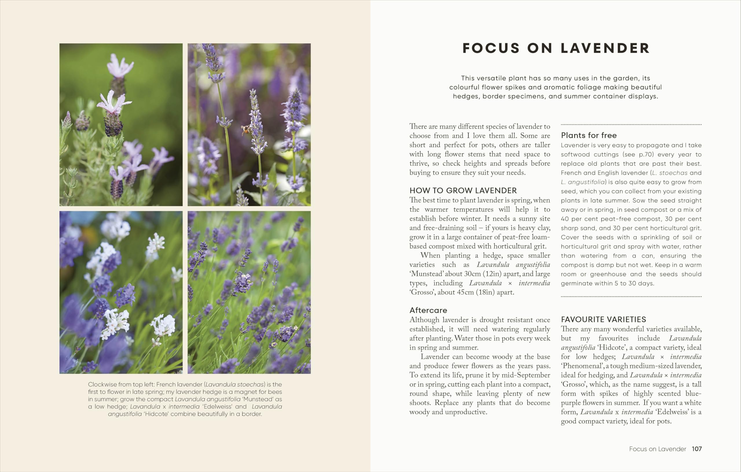 The Money-Saving Garden Year: A Month-by-month Guide to a Great Garden that Costs Less