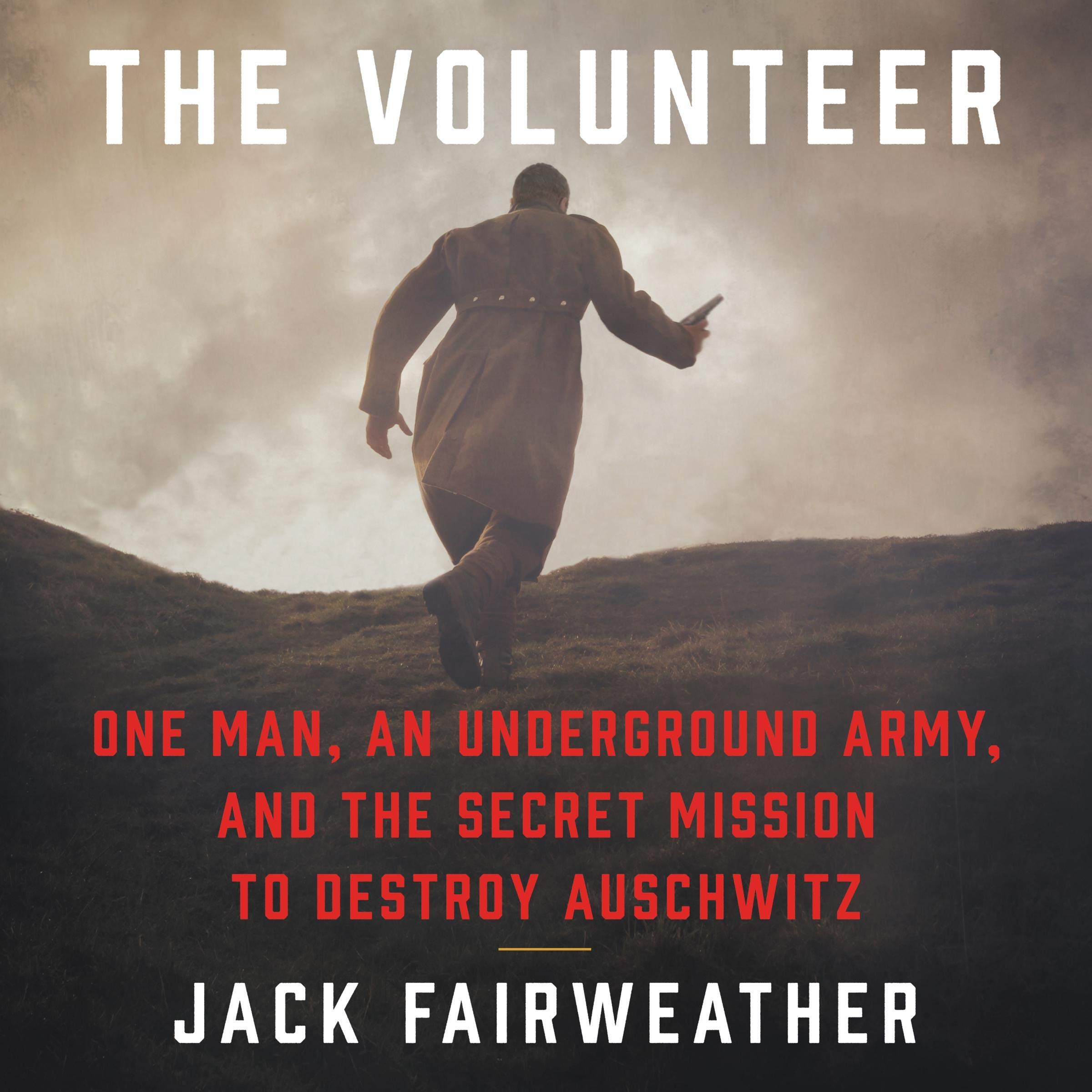 Cover art for The Volunteer
