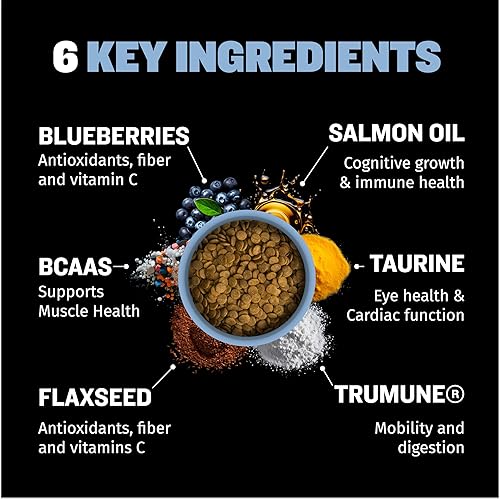 Miniatura 4 de Bully Max Alimento seco para perros de raza pequeña 2614 para piel, pelaje y estómago sensible, pollo y arroz, picaduras suaves y secas para