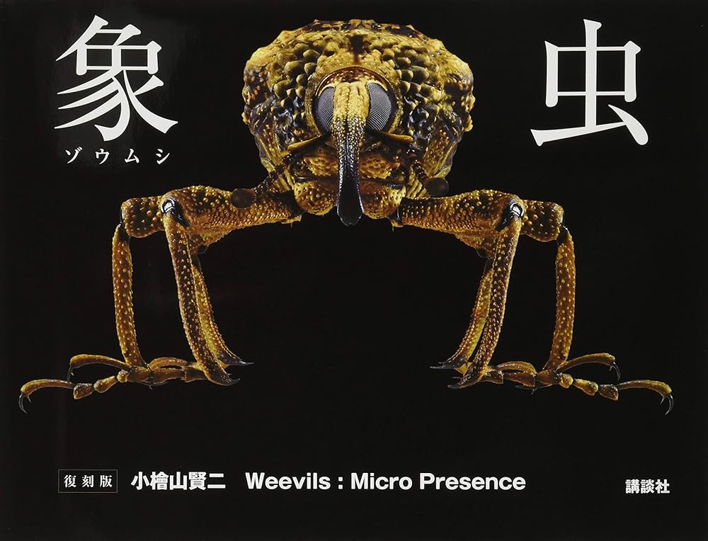 手足に白銀の美毛を持つポップ柄の大型クモゾウムシ The truth about harvestmen! ┃The story of a fake spider