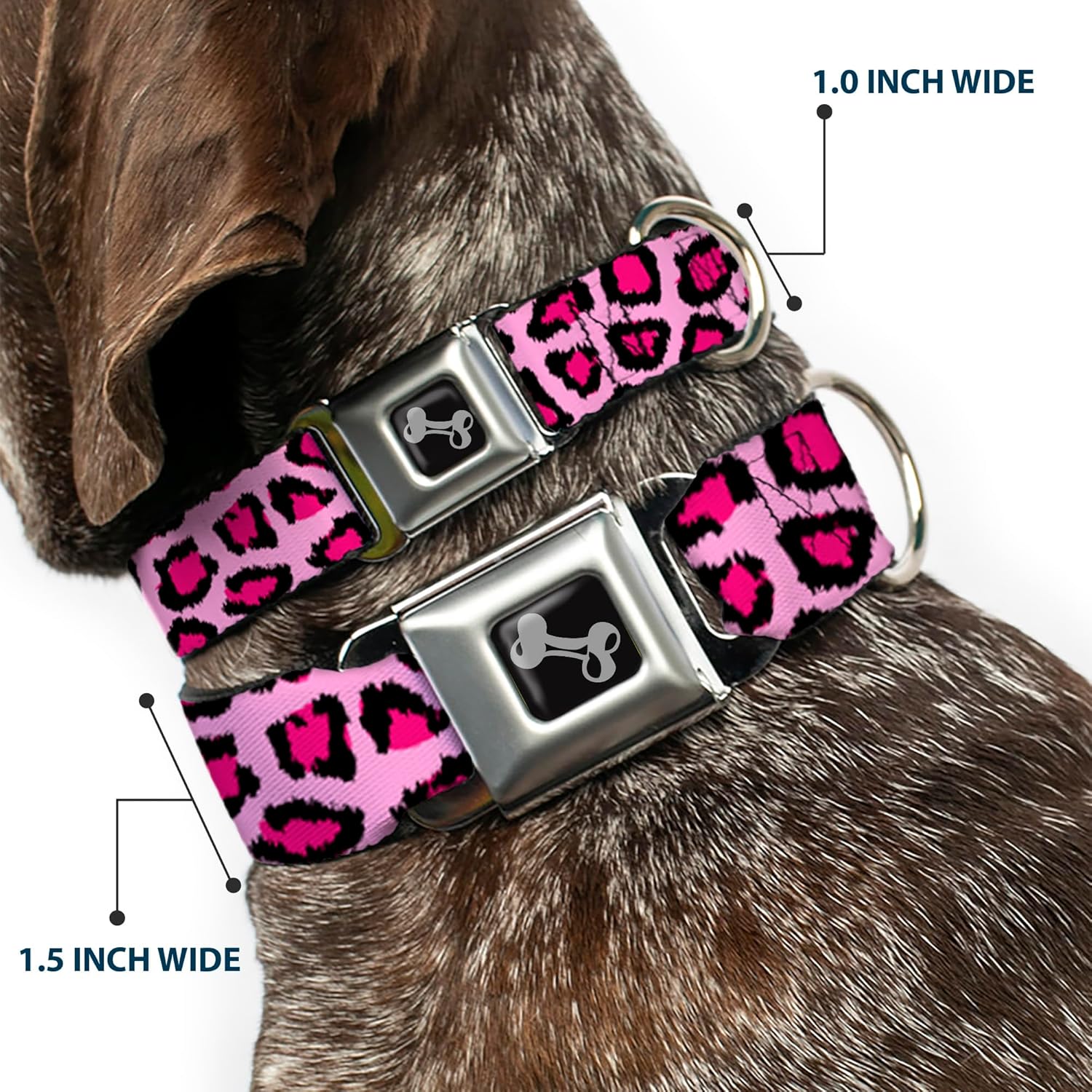 Buckle-Down Dog Collar Seatbelt Buckle Leopard Close Up Pink 11 to 17 Inches 1.0 Inch Wide, Multicolor, DC-W31233-M