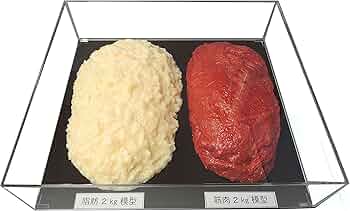 81b4RNFWSOS._AC_UF350,