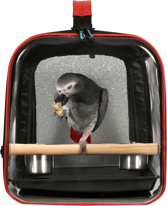 Colorday Lightweight Bird Carrier, Bird Travel Cage (Large 19 x 12 x 13, Black)