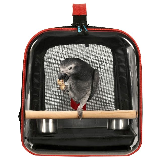 Foto 3 de 8 de Colorday Transportador de pájaros Ligero, Jaula de Viaje para pájaros (Grande 19 x 12 x 13, Negro)