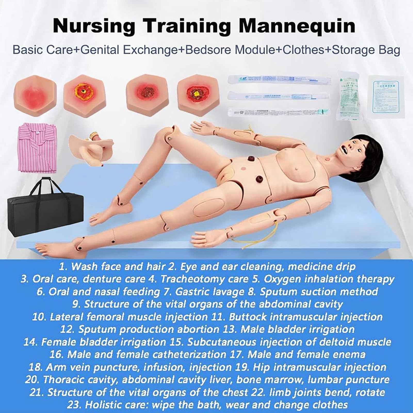 Générique Mannequin médical pour soins infirmiers de 5,57 pieds avec 3 modules musculaires,Male