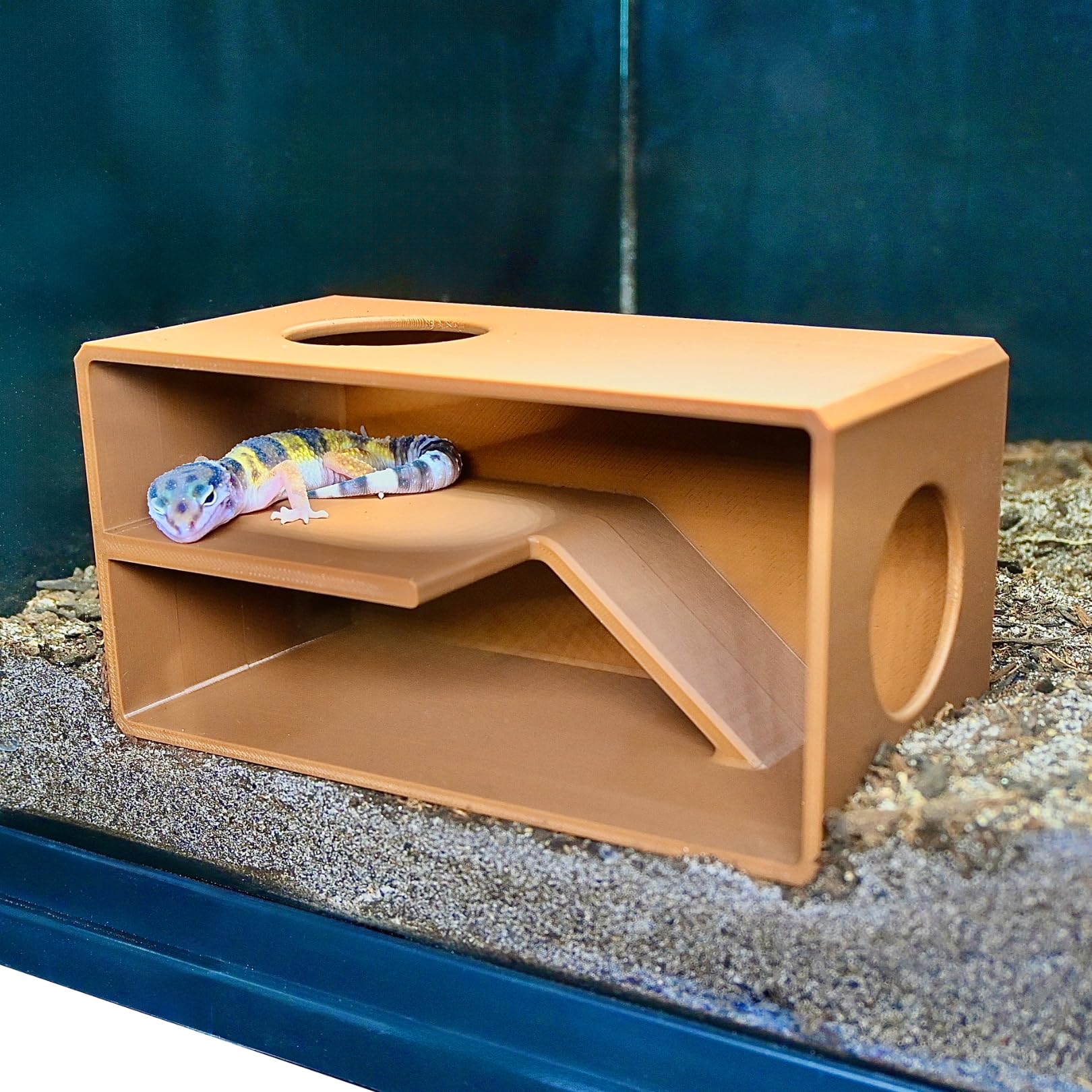 Reptile Cave Against Glass Viewing Hide | Leopard Gecko Tank Enrichment Dig Box Hideout | Small Snake Decoration Accessories Supplies Toys Ornaments