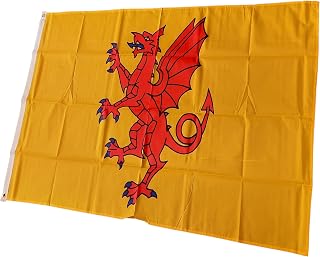 NWFlags Somerset Flag 3ft x 2ft 75d Premium Polyester Suitable For Flagpoles