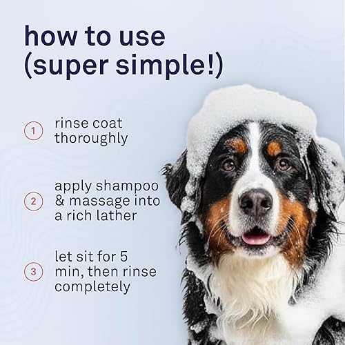 Miniatura 8 de Petpost  Champú para perros de piel seca - Argán cura, protege y rejuvenece naturalmente la picazón de la piel y el pelaje del perro - Fórmula de
