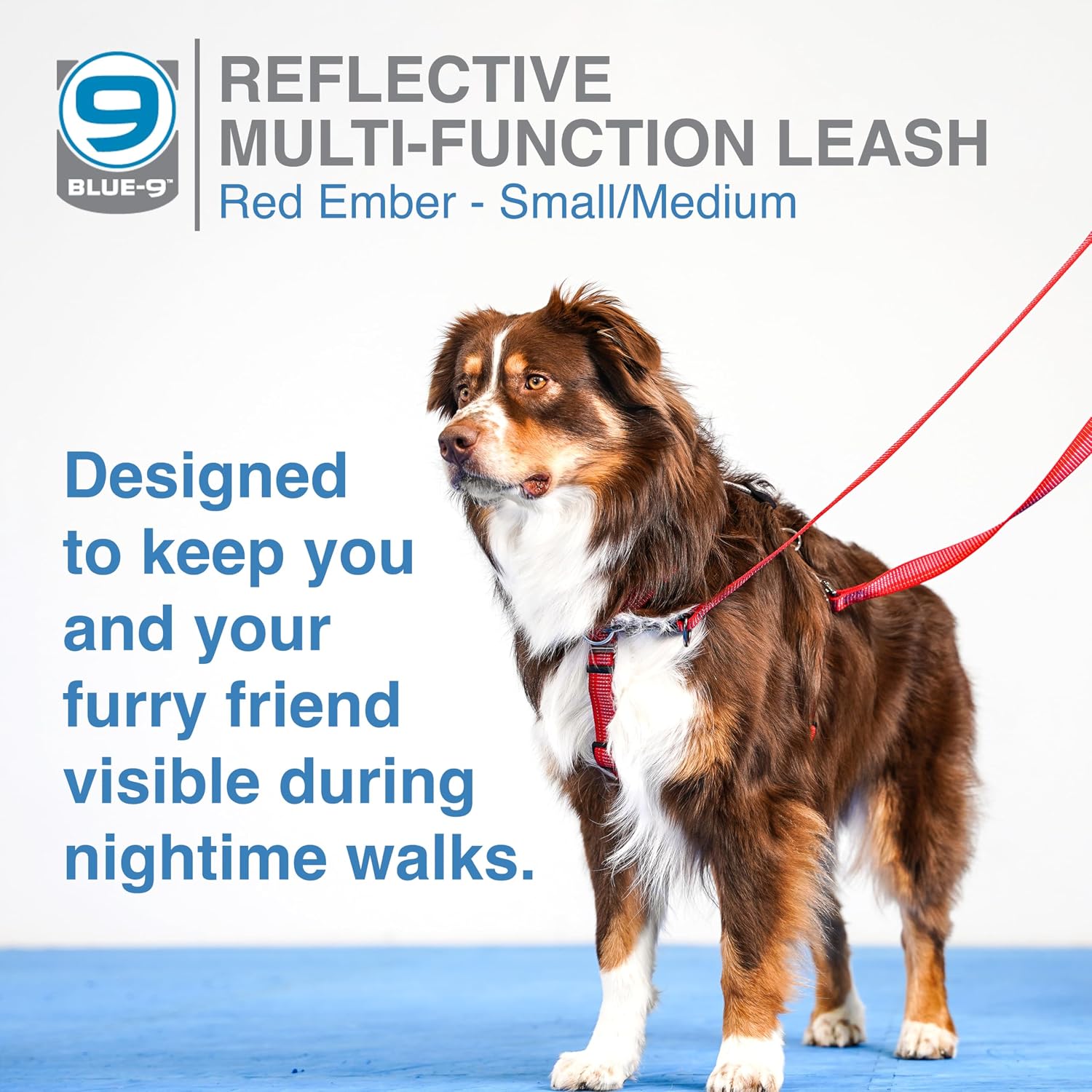 Blue-9 Reflective Multi-Function Dog Leash, Double Attachment Adjustable Lead for Obedience Training and Running, 6 Feet, Made in The USA, Small/Medium, Red