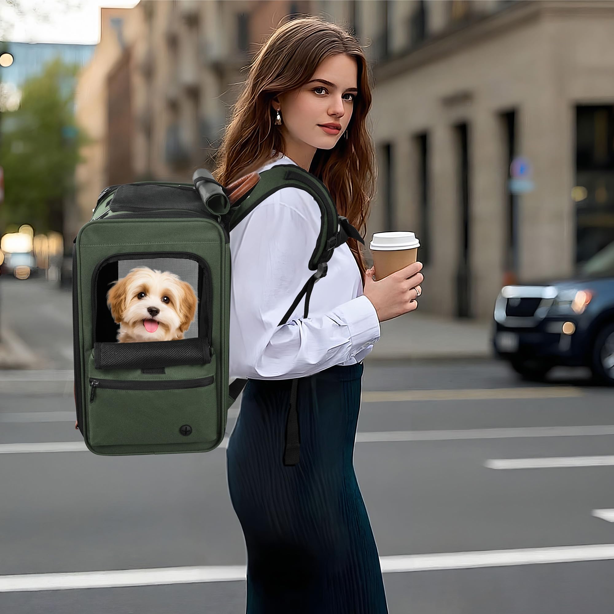 EliteField Deluxe Backpack Pet Carrier (3 Year Warranty, Airline Approved), Travel Soft-Sided Carrier Bag for Dogs, Cats & Small Pets