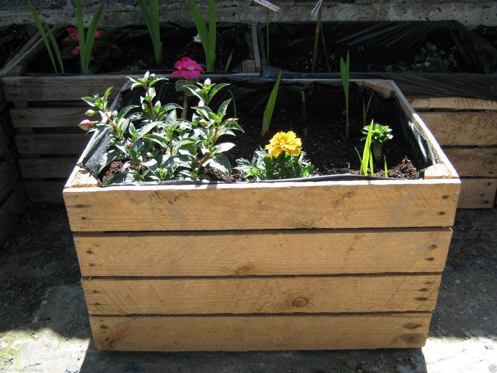 1 x PLANTER Vintage Rustic European Wooden Apple Crates,Wooden Garden Trough Planter Veg Bed Flower Plant Pots