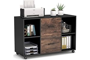 TribeSigns 2 Drawer File Cabinet for Letter Size Files and Printer