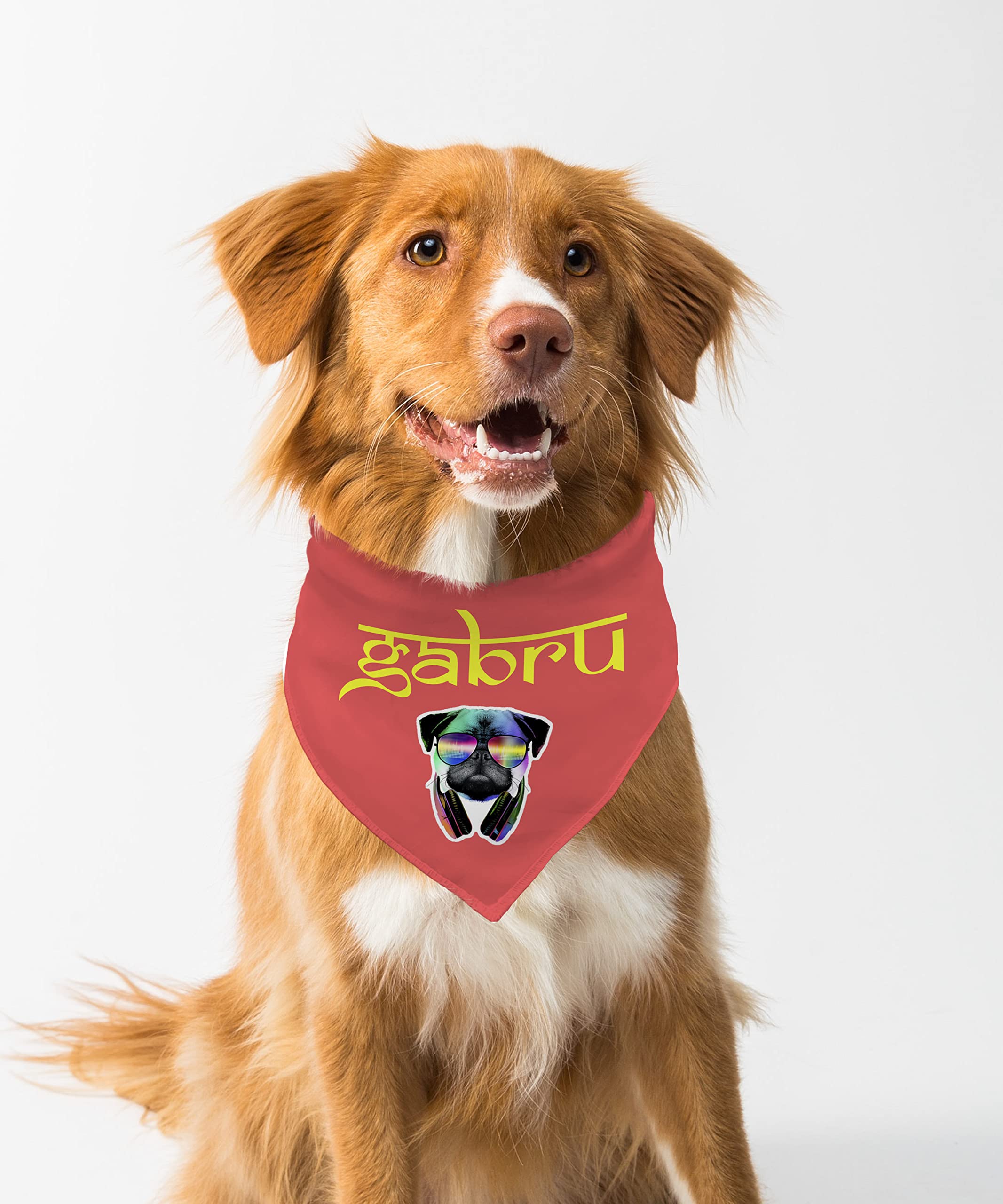 See full amazon price history chart for Farnup Adjustable & Comfortable Dog Bandana,Gabru, Graphic Printed Bandana for Dogs | Dog Scarf, Accessory | Gifts for Dogs-M/L Farnup Adjustable & Comfortable Dog Bandana,Gabru, Graphic Printed Bandana for Dogs | Dog Scarf, Accessory | Gifts for Dogs-M/L (B0BVHGCTM2) Amazon Price History, Amazon Price Tracker