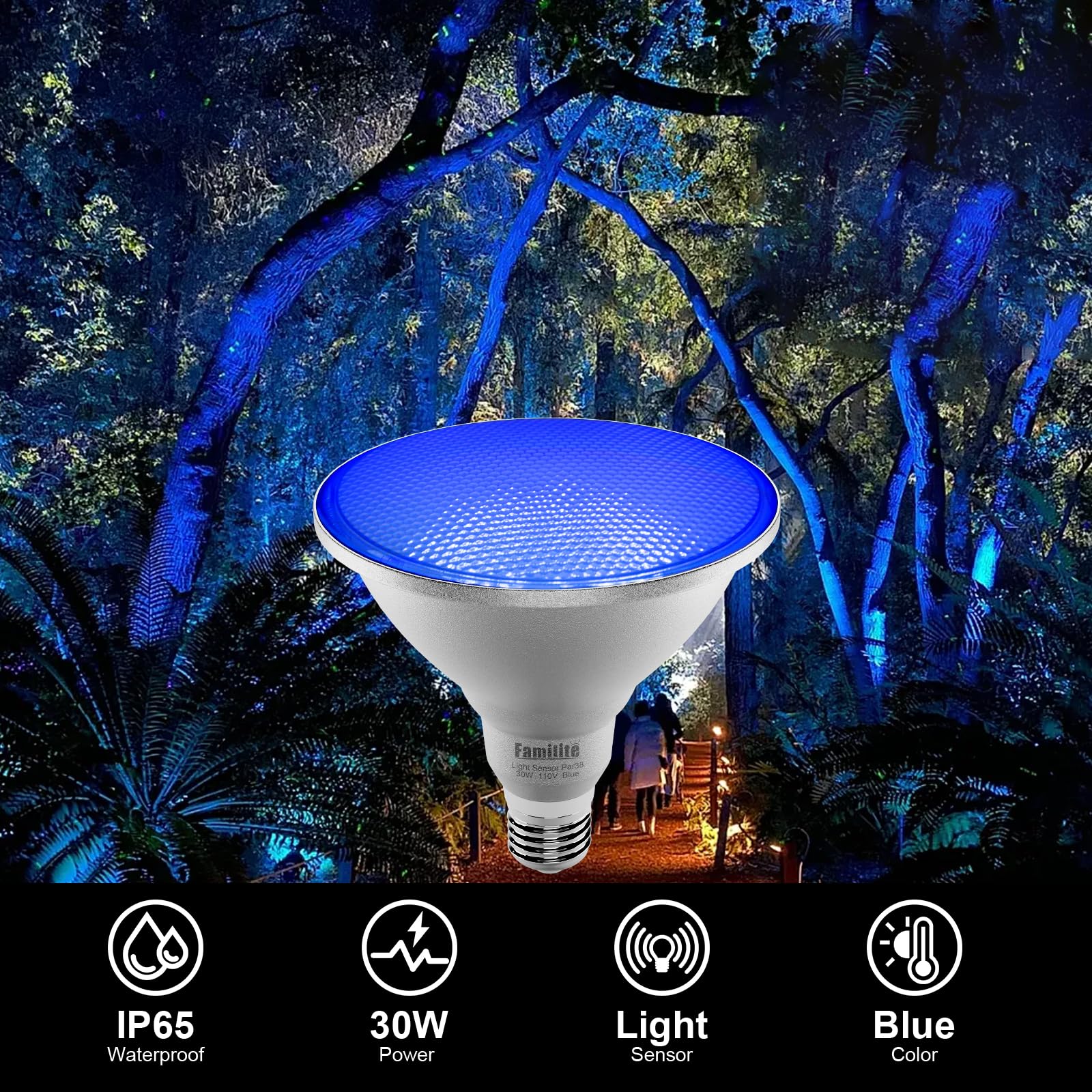 Familite Blue Dusk to Dawn PAR38 LED Flood Light Bulbs with Auto