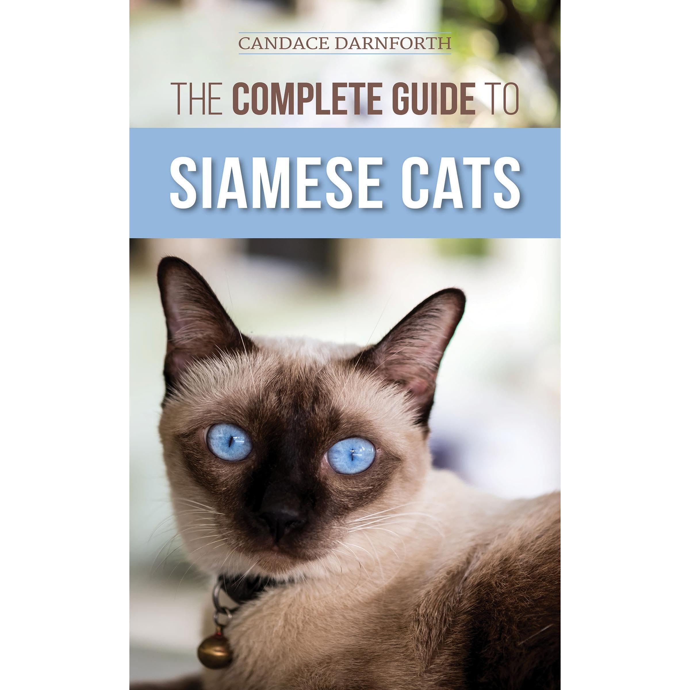 The Complete Guide to Siamese Cats