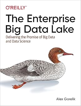 Portada libro Big Data The enterprise big data lake