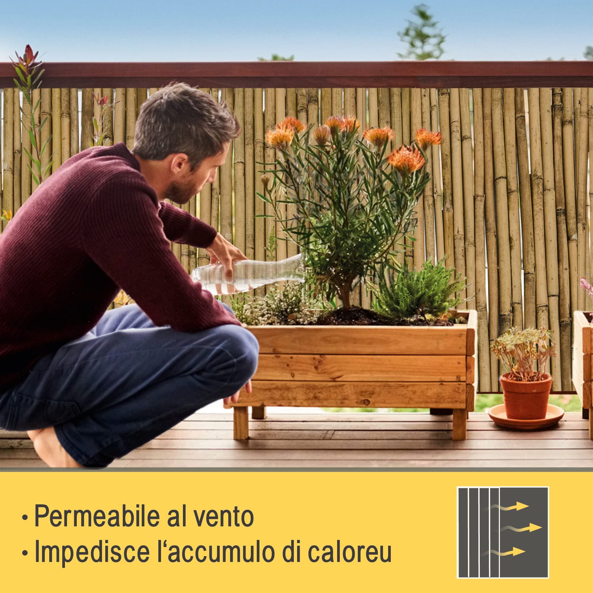Sol Royal Frangivista e Frangivento in Bambú 180x250cm (AxL) SolVision B38 Stuoia in Canne Spesse di Bamboo Premium - Arella Naturale per Giardini e Balconi - Schermo Privacy Naturale