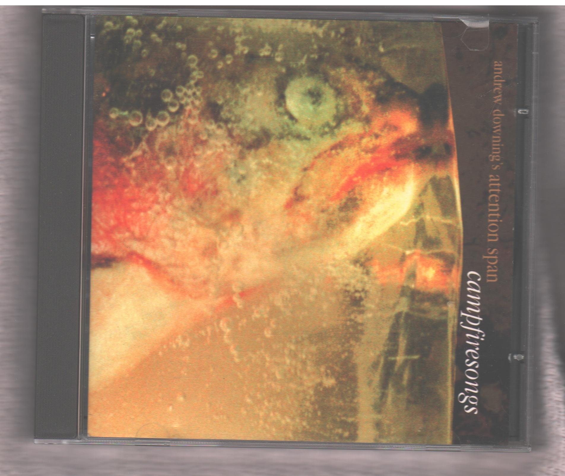 Campfire Songs [Audio CD] Downing, Andrew