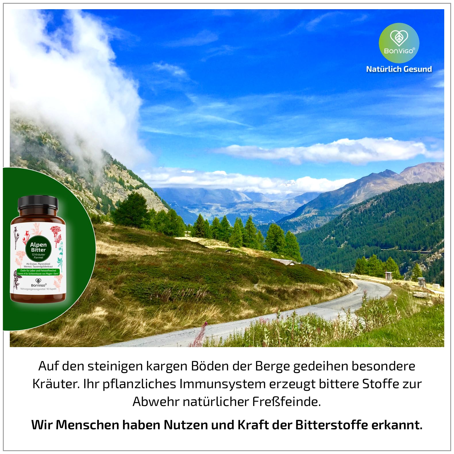 AlpenBitter – 13 Kräuter Bitterstoff Formel mit Mariendistel, Enzian, Wermut – Cholin unterstützt Leberfunktion & Fettstoffwechsel – Nach altem Klosterrezept – 180 Kapseln