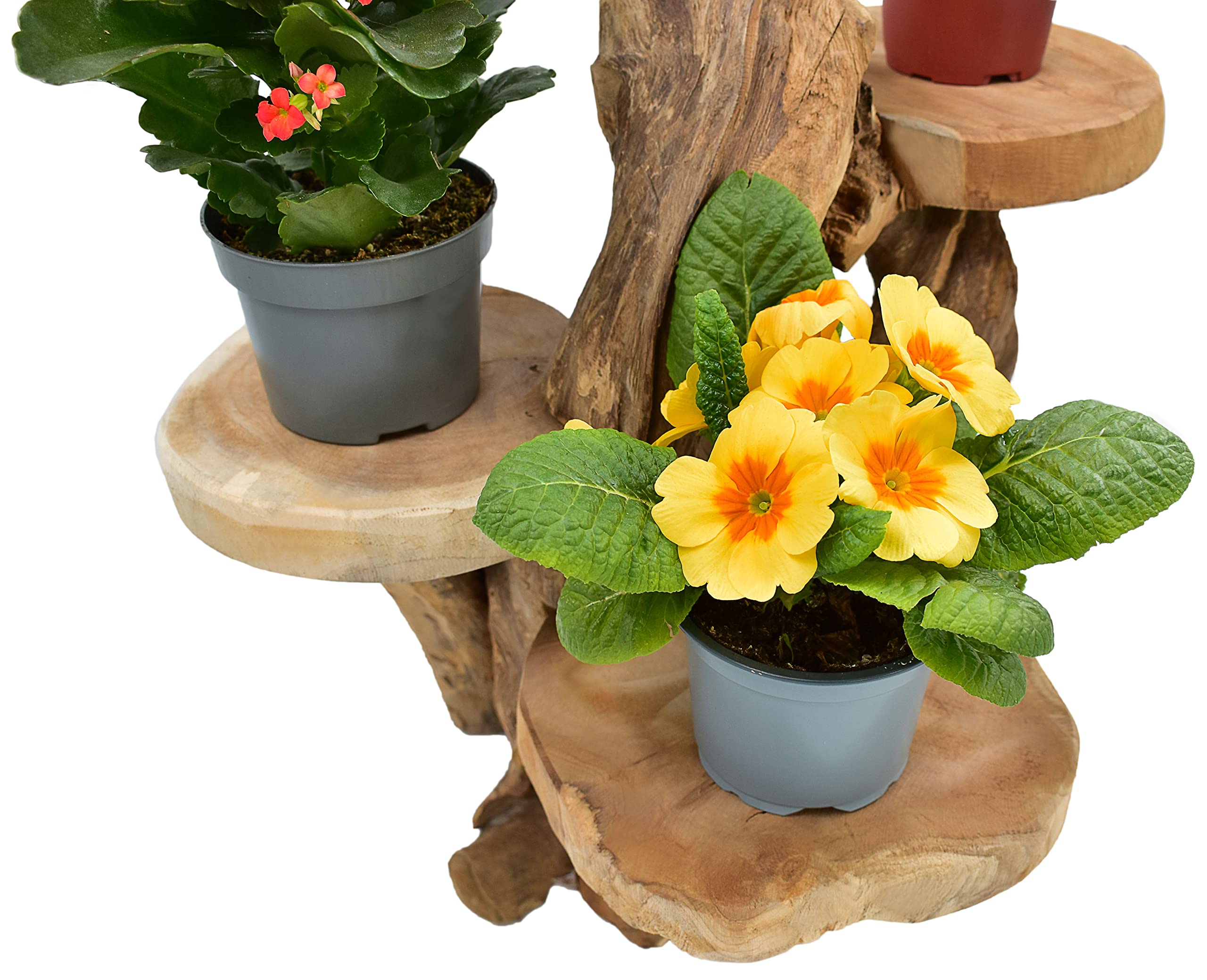 Teak Blumenständer mit 3 Ablagen Blumenpodest Pflanzentreppe Blumenregal Ständer Blumenhocker Massiv Holz Podest Regal