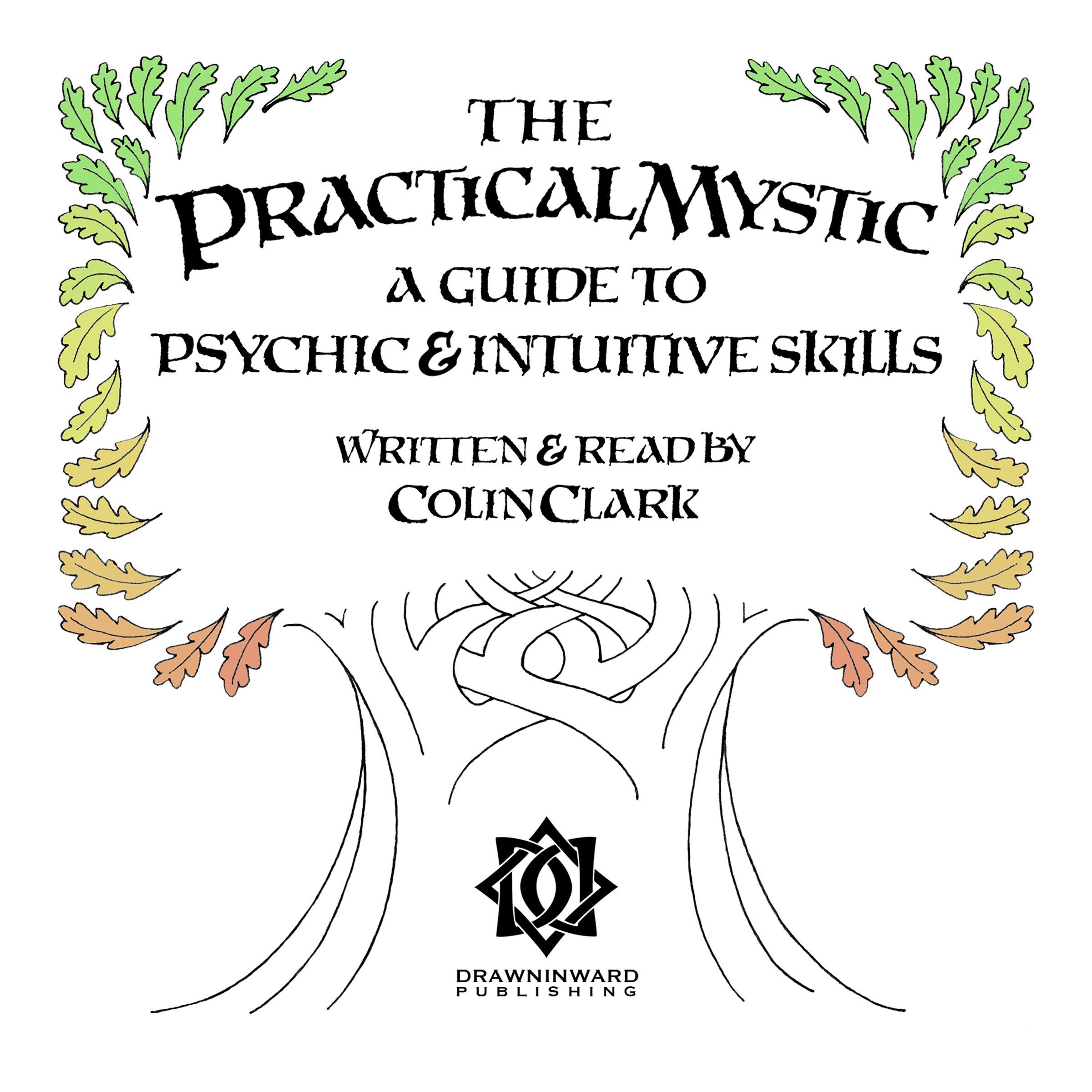 The Practical Mystic