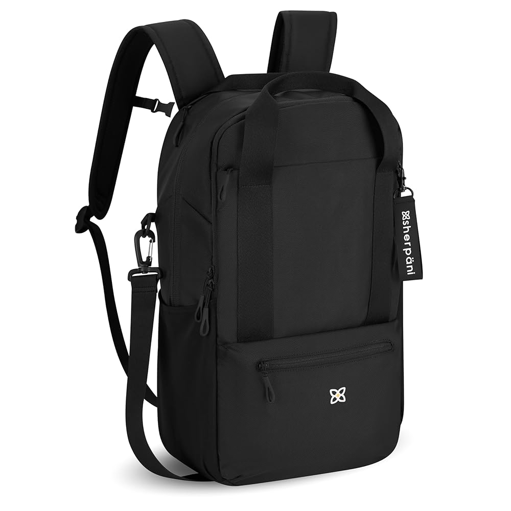Amazon.com: Sherpani Camden, Convertible Backpack, 3 in 1