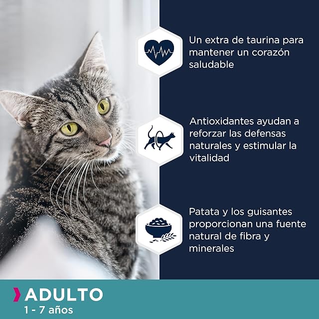 Foto 3 de 8 de EUKANUBA Grain Free Alimento Seco para Gatos Adultos, Salmón, 10kg